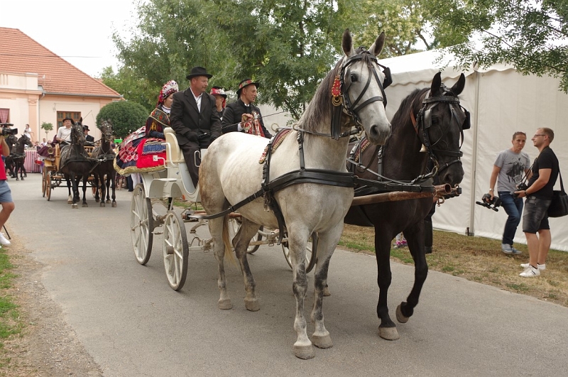 LEVI2476 (Medium).JPG